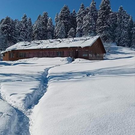 Roseland Cottage , Gulmarg Bagian luar foto