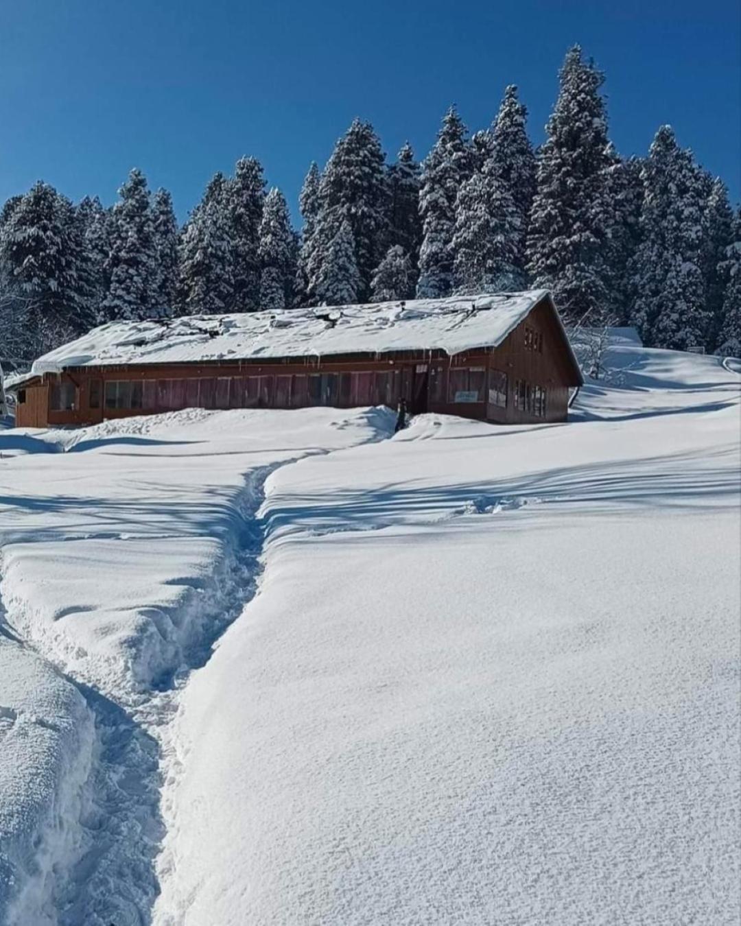 Roseland Cottage , Gulmarg Bagian luar foto